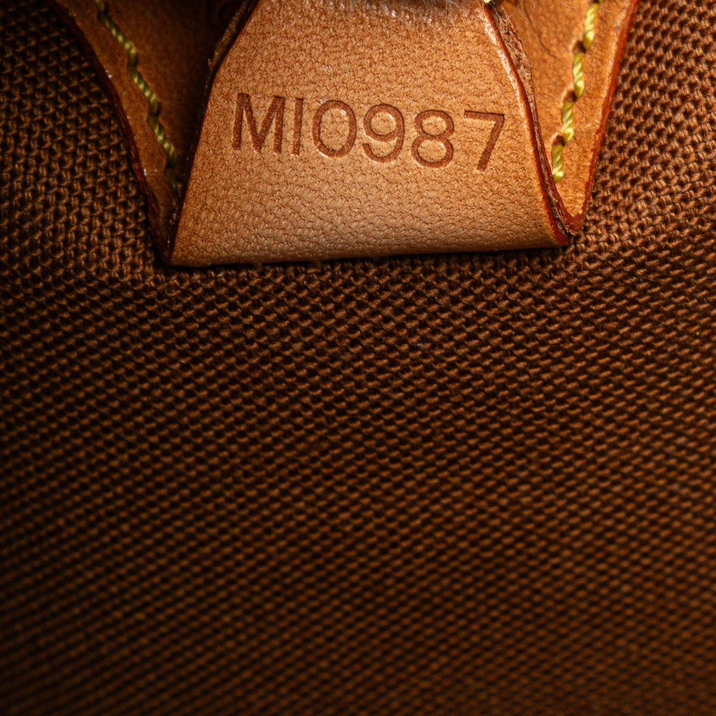 Louis Vuitton Monogram Ellipse PM