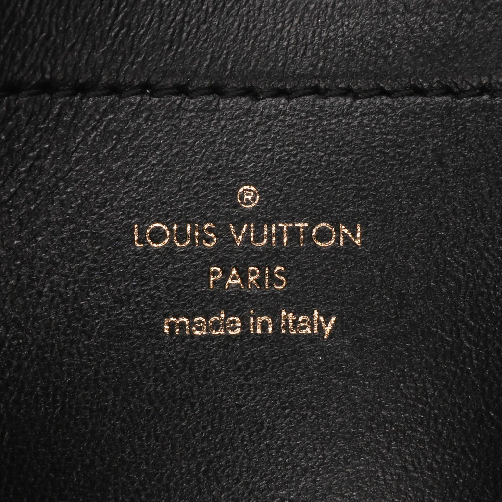 Louis Vuitton Monogram Embossed Pochette Coussin