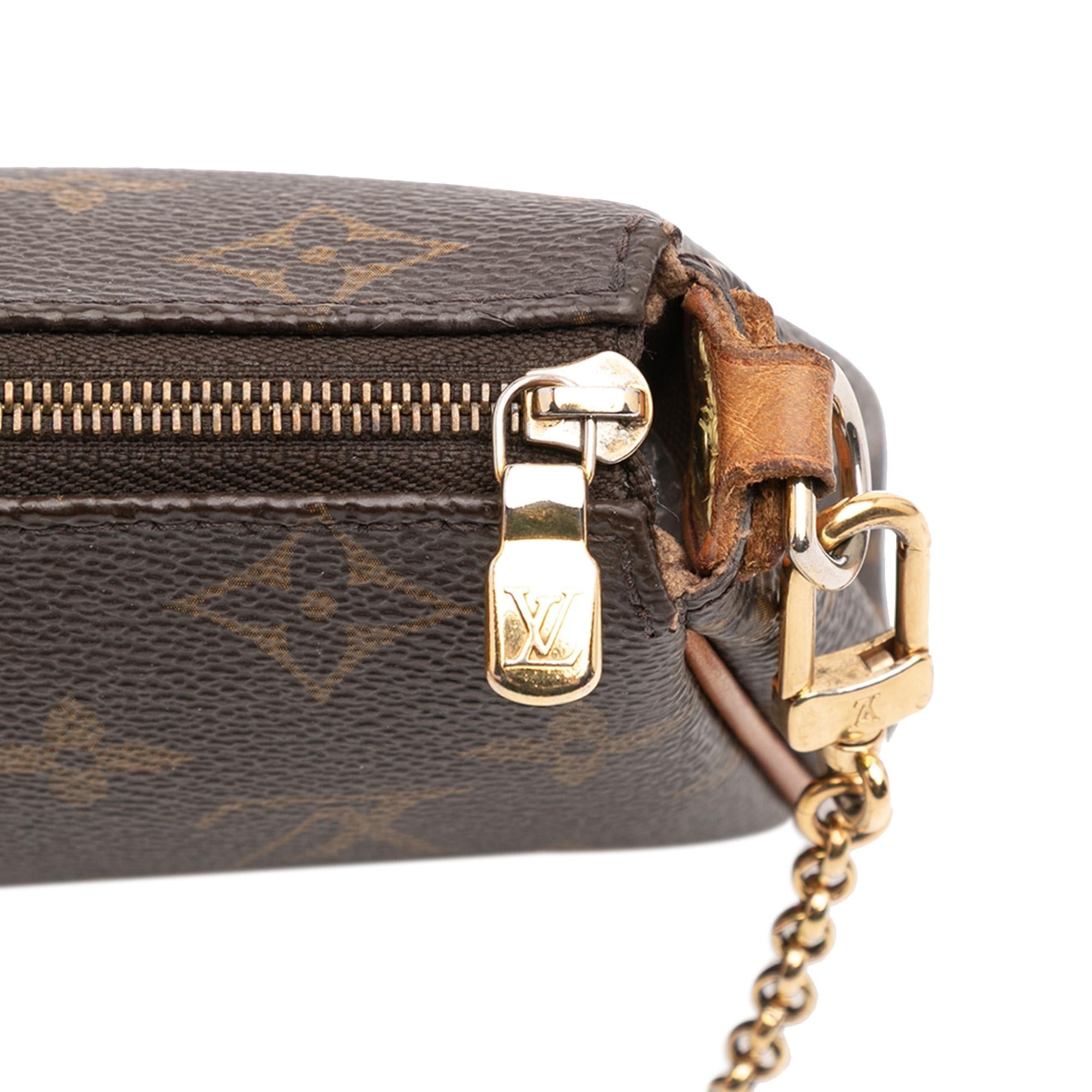 Louis Vuitton Monogram Eva
