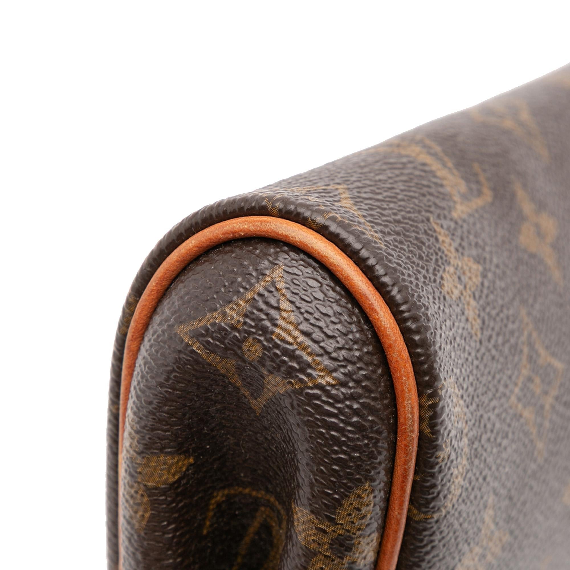 Louis Vuitton Monogram Eva
