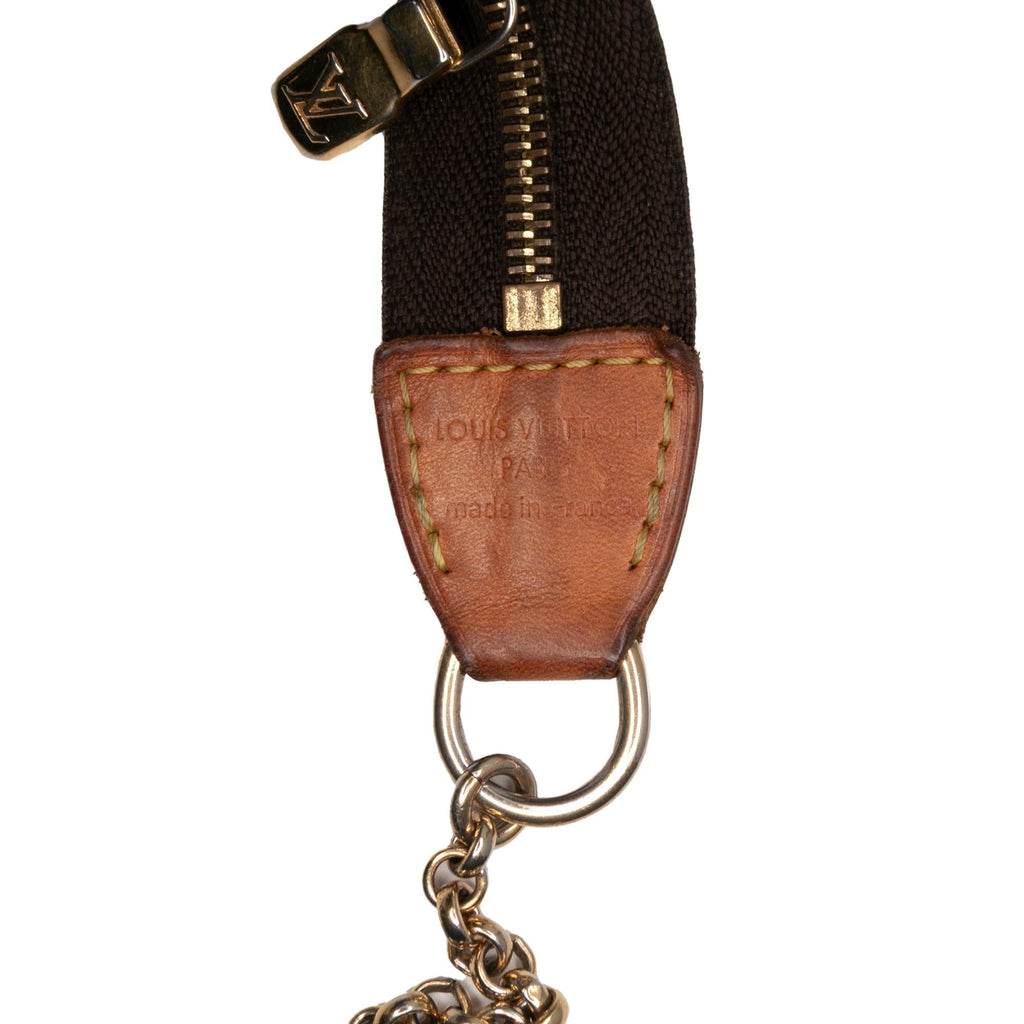 Louis Vuitton Monogram Eva