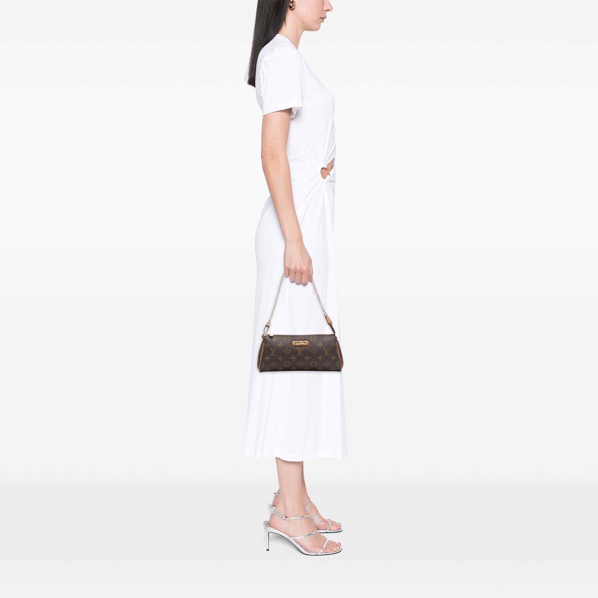 Louis Vuitton Monogram Eva