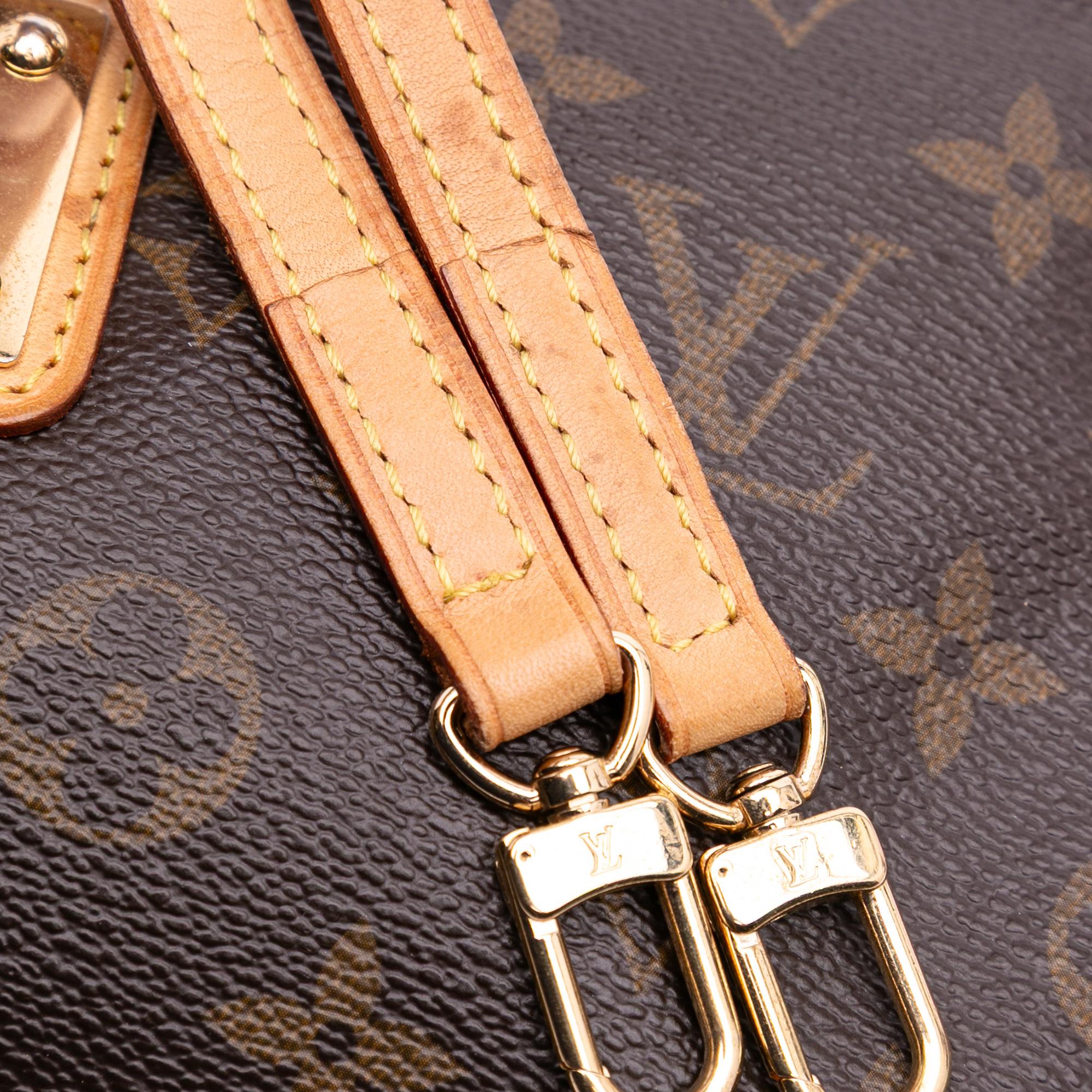 Louis Vuitton Monogram Eva