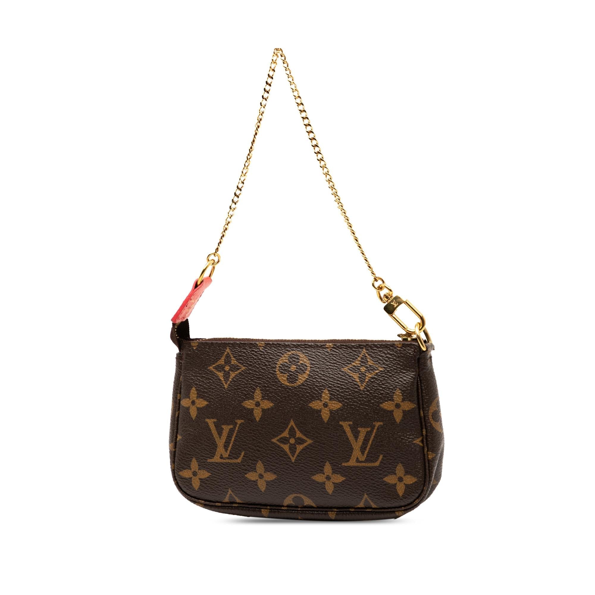 Louis Vuitton Monogram Evasion Illustre Mini Pochette Accessories
