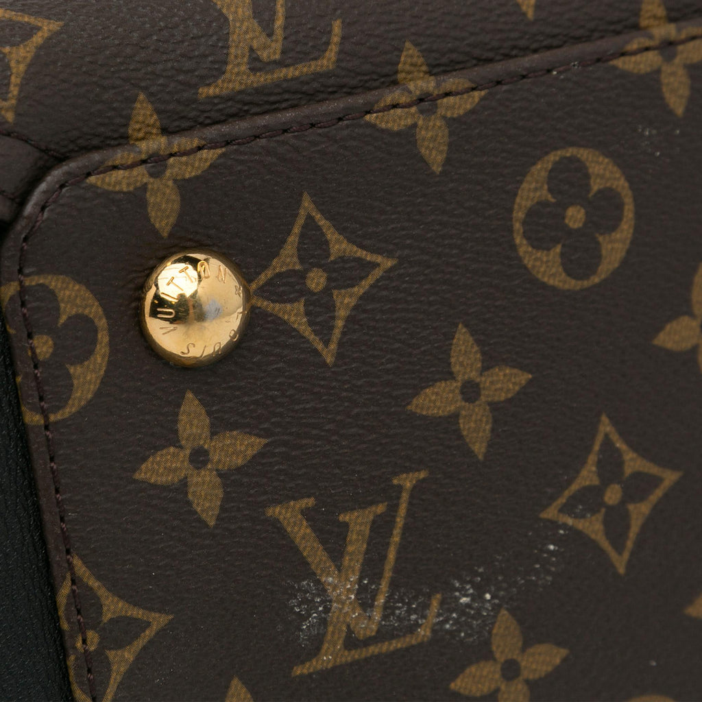 Louis Vuitton Monogram Gaia (SHG-YY96Cf)