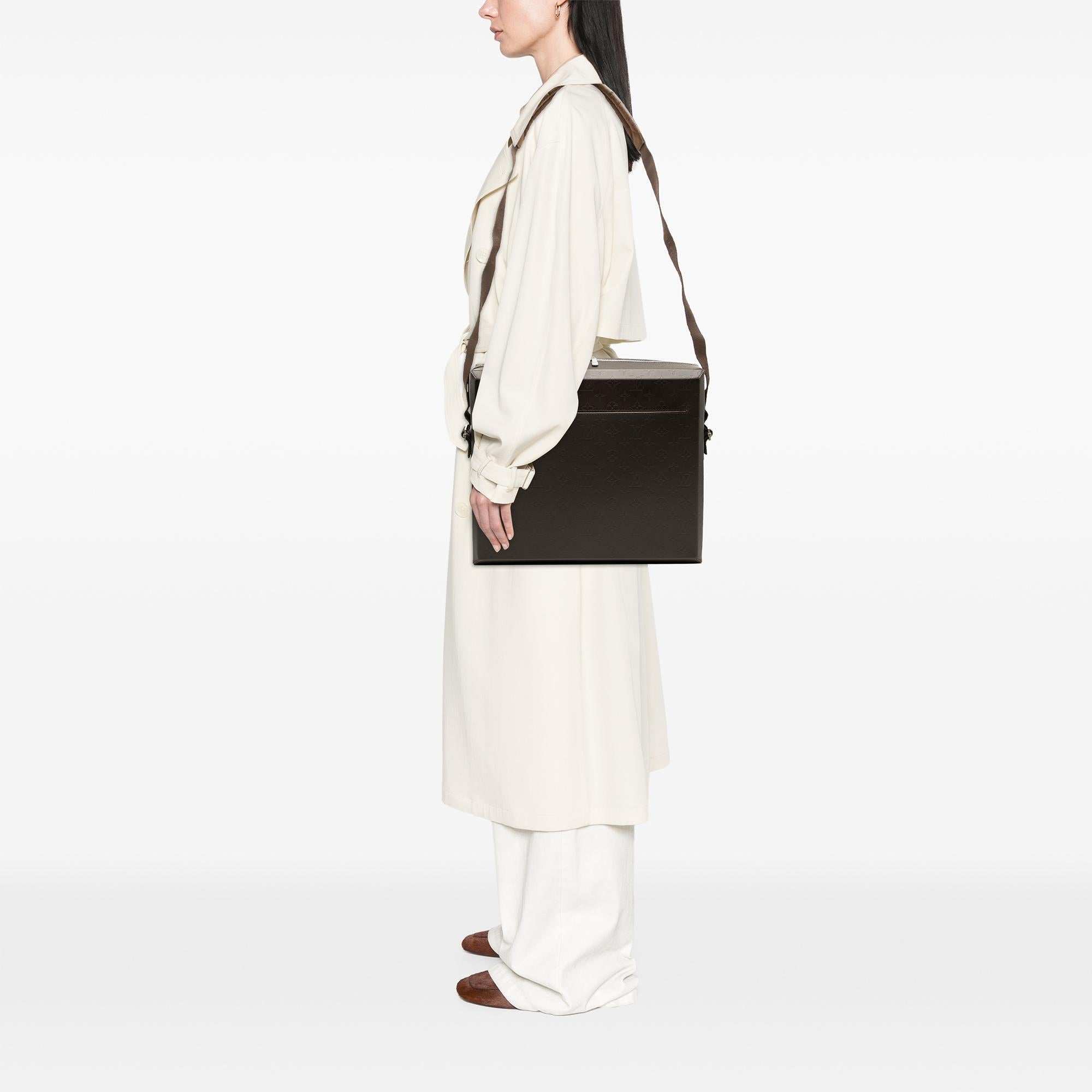 Louis Vuitton Monogram Glace Steve