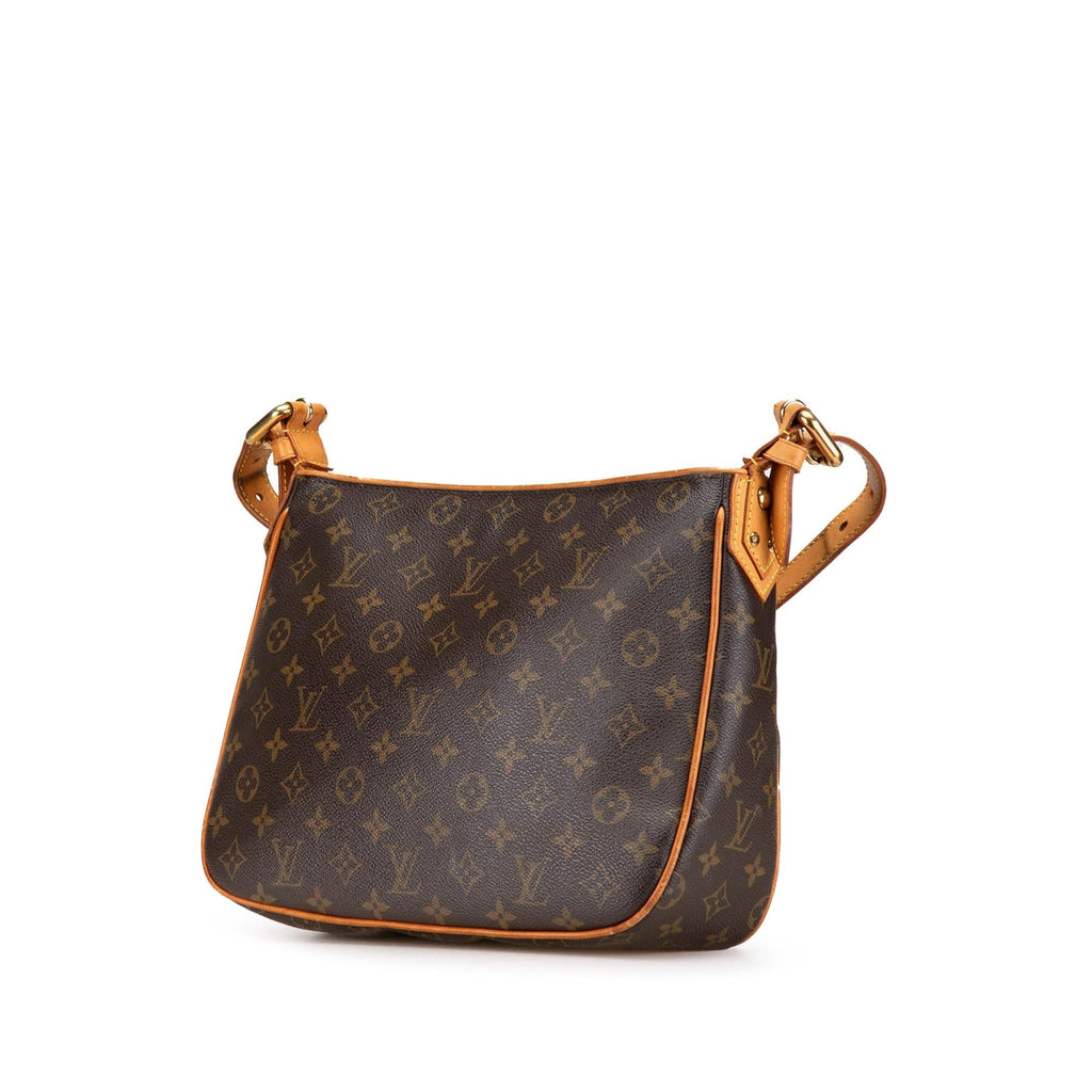 Louis Vuitton Monogram Hudson GM