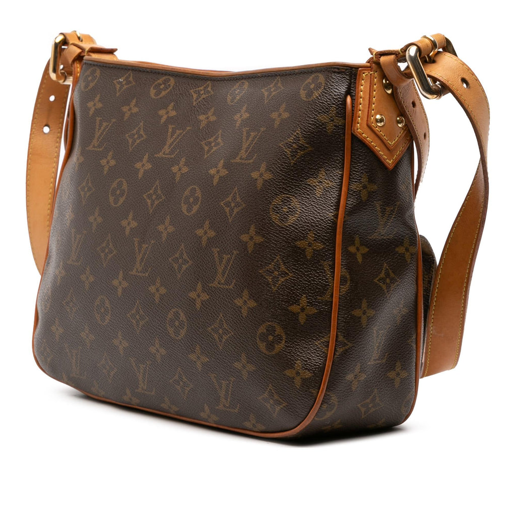 Louis Vuitton Monogram Hudson GM