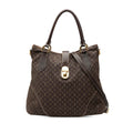 Louis Vuitton Monogram Idylle Elegie