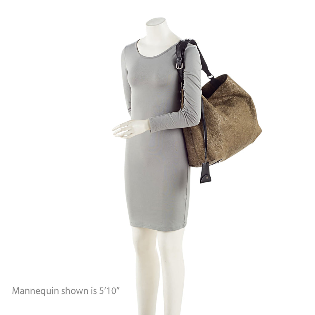 Louis Vuitton Monogram Lambskin Antheia GM Hobo