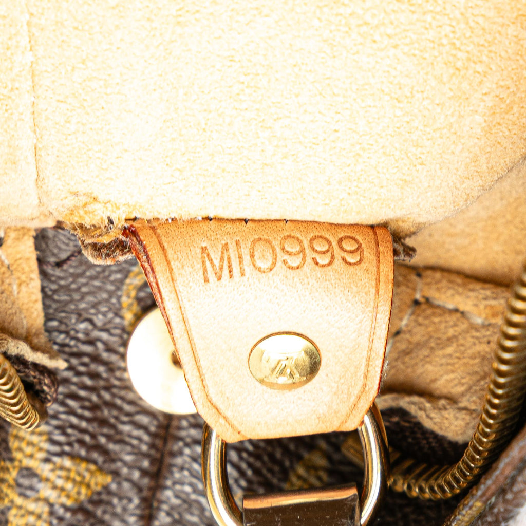 Louis Vuitton Monogram Looping GM