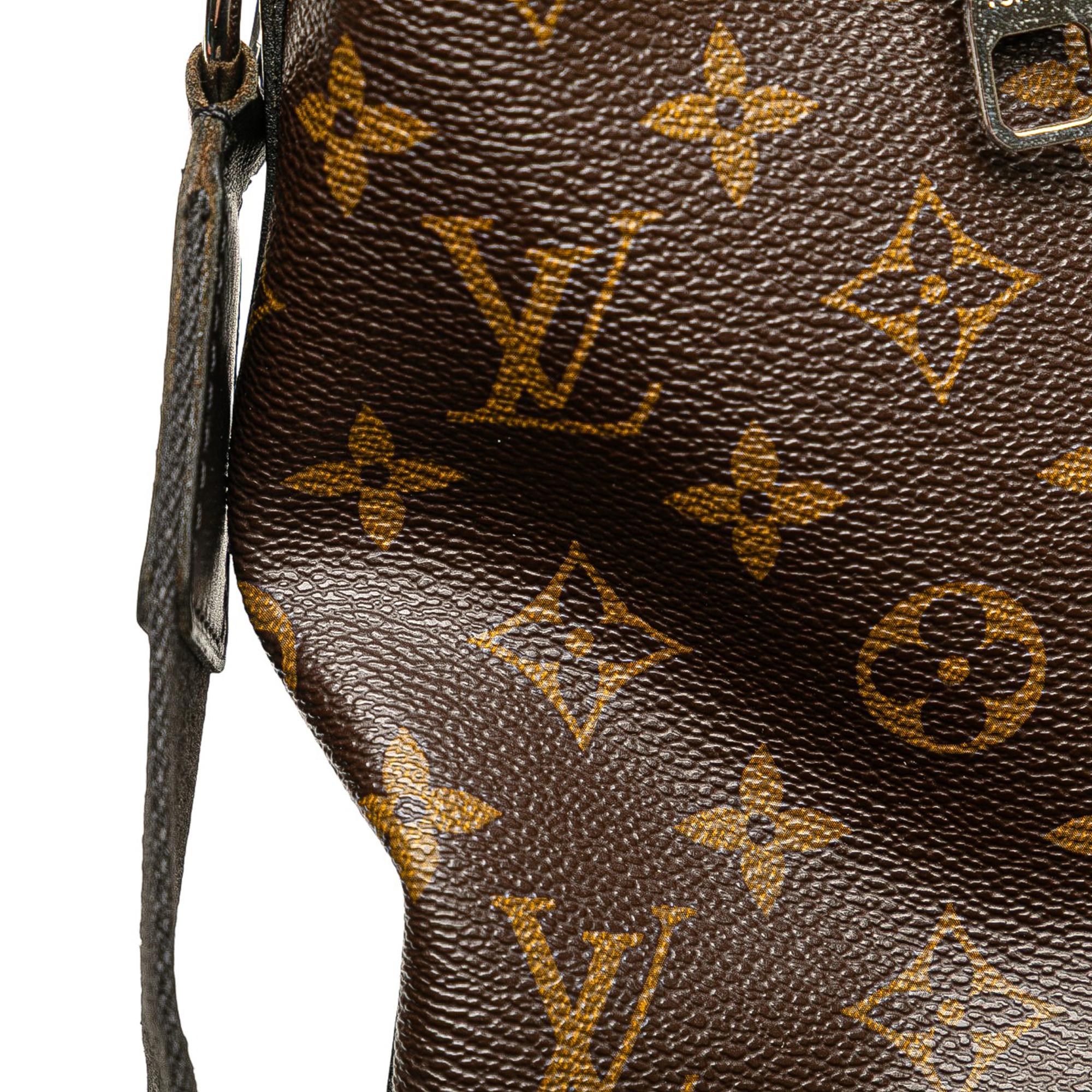 Louis Vuitton Monogram Macassar Torres