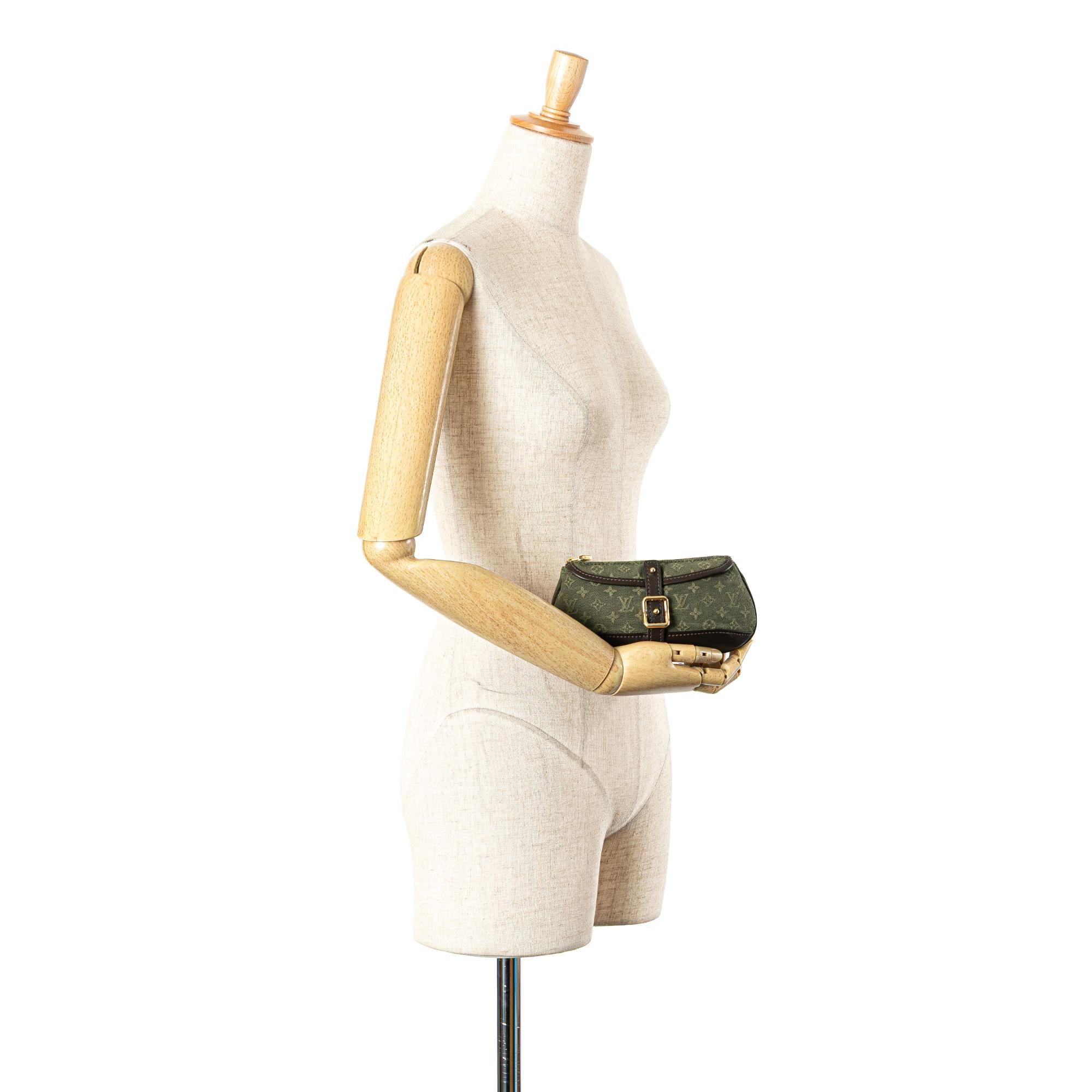 Louis Vuitton Monogram Mini Lin Anne Sophie Pouch