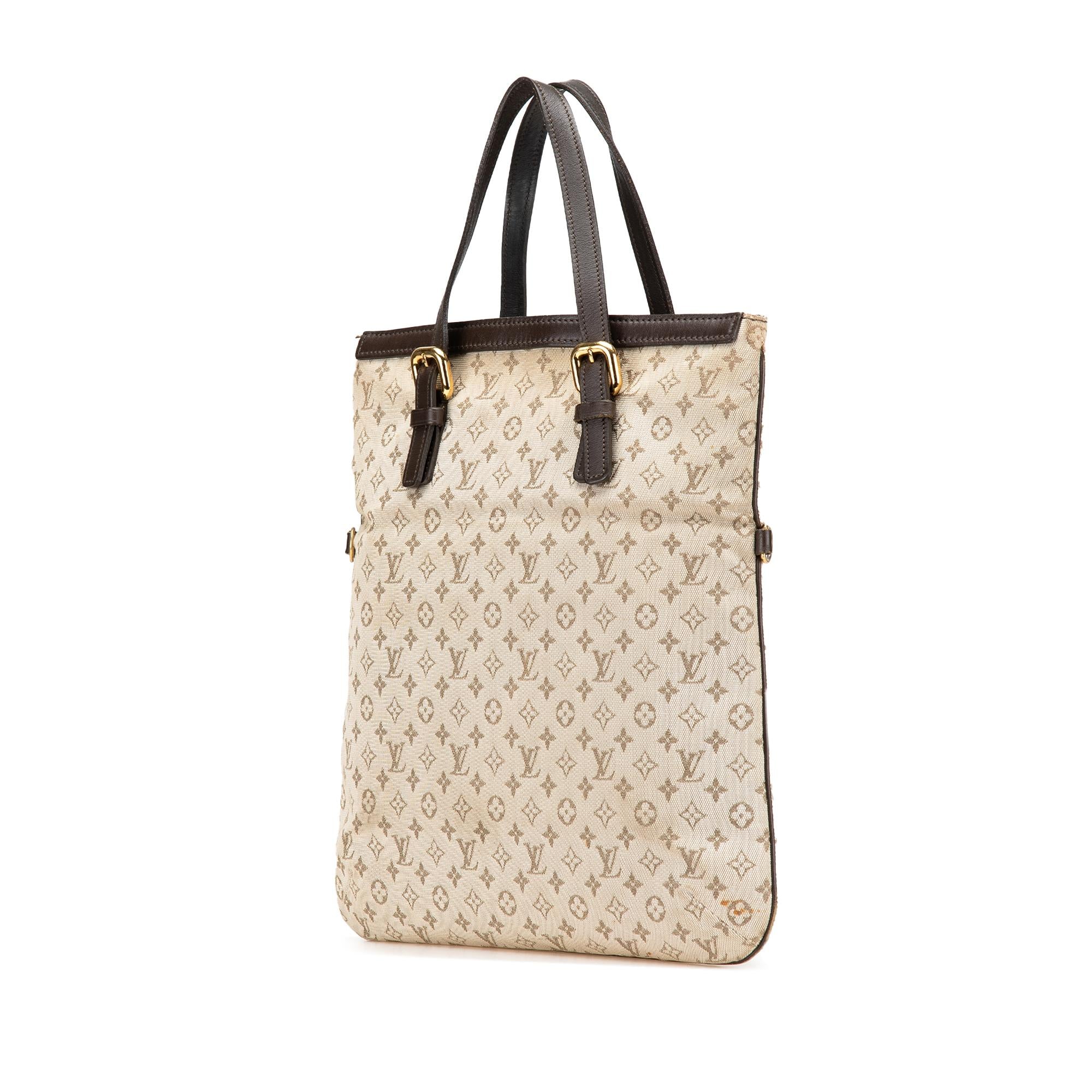 Louis Vuitton Monogram Mini Lin Francoise