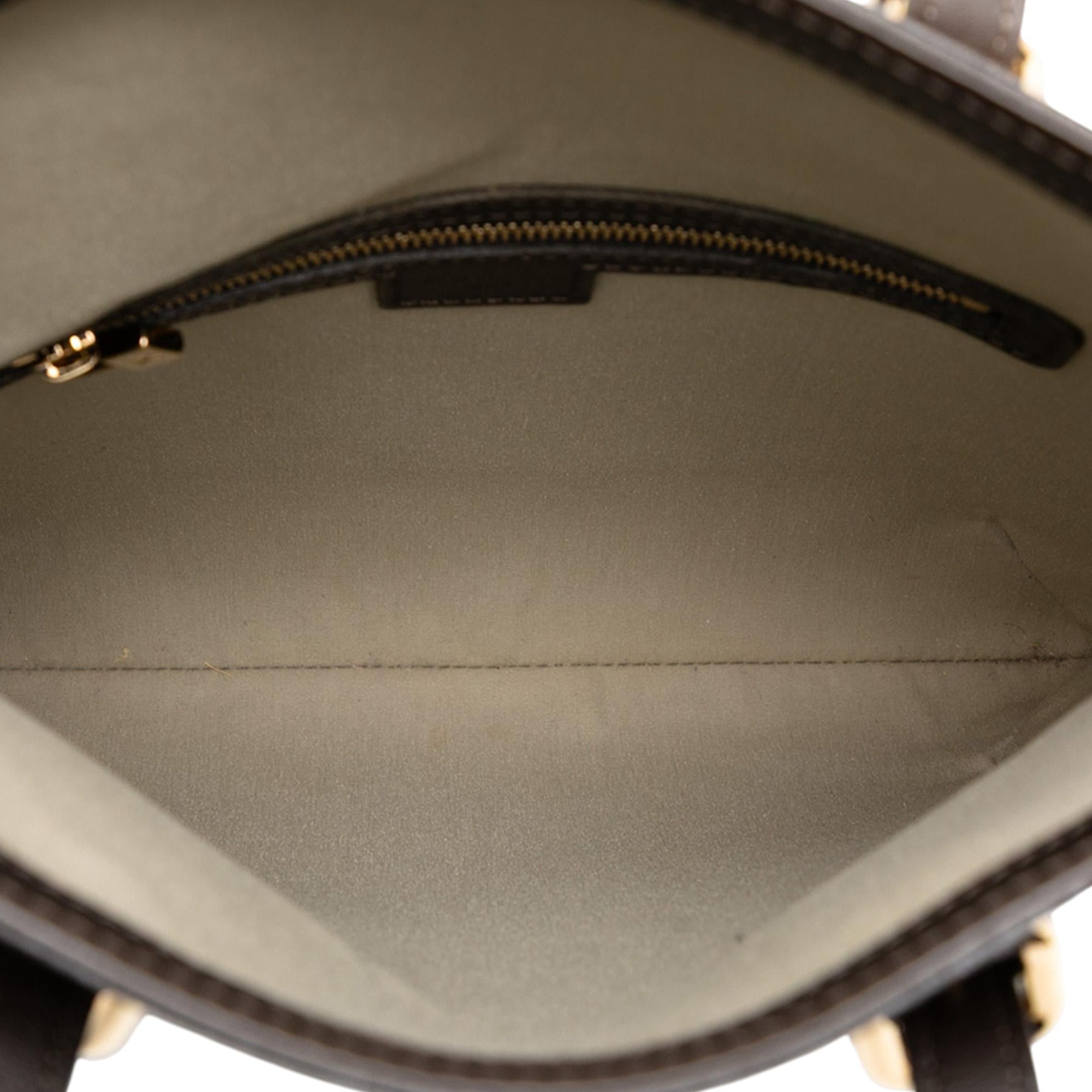Louis Vuitton Monogram Mini Lin Francoise