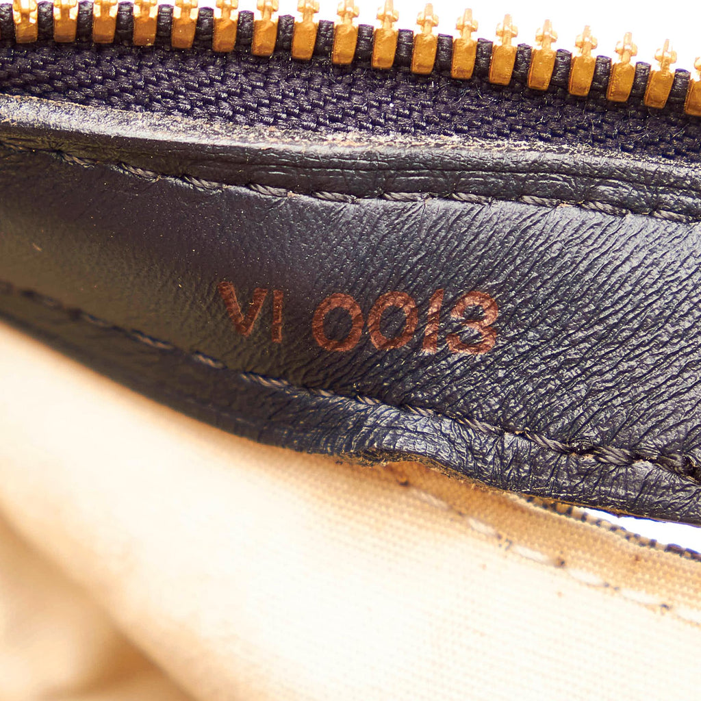 Louis Vuitton Monogram Mini Lin Josephine PM (SHG-30154)