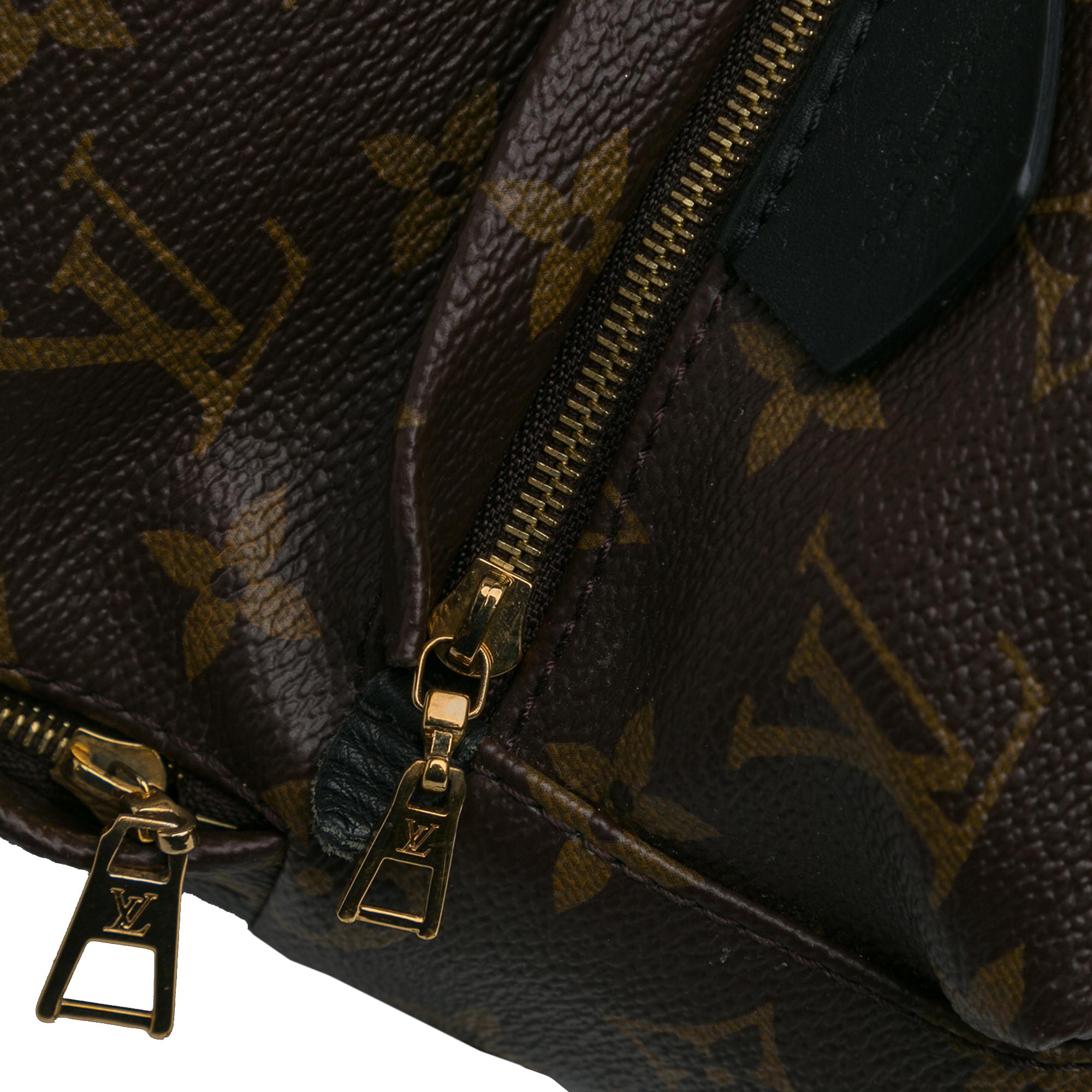 Louis Vuitton Monogram Mini Palm Springs (SHG-8FRG3t)