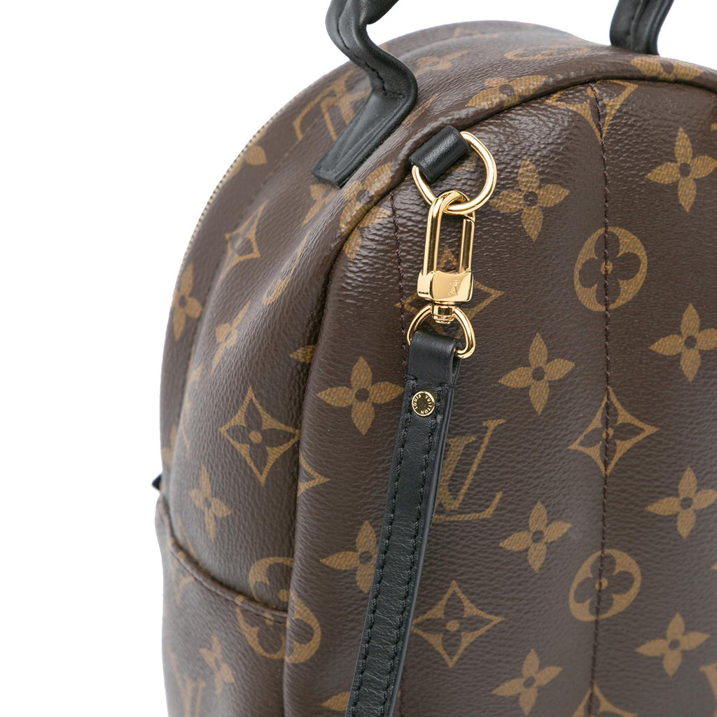 Louis Vuitton Monogram Mini Palm Springs