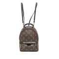 Louis Vuitton Monogram Mini Palm Springs