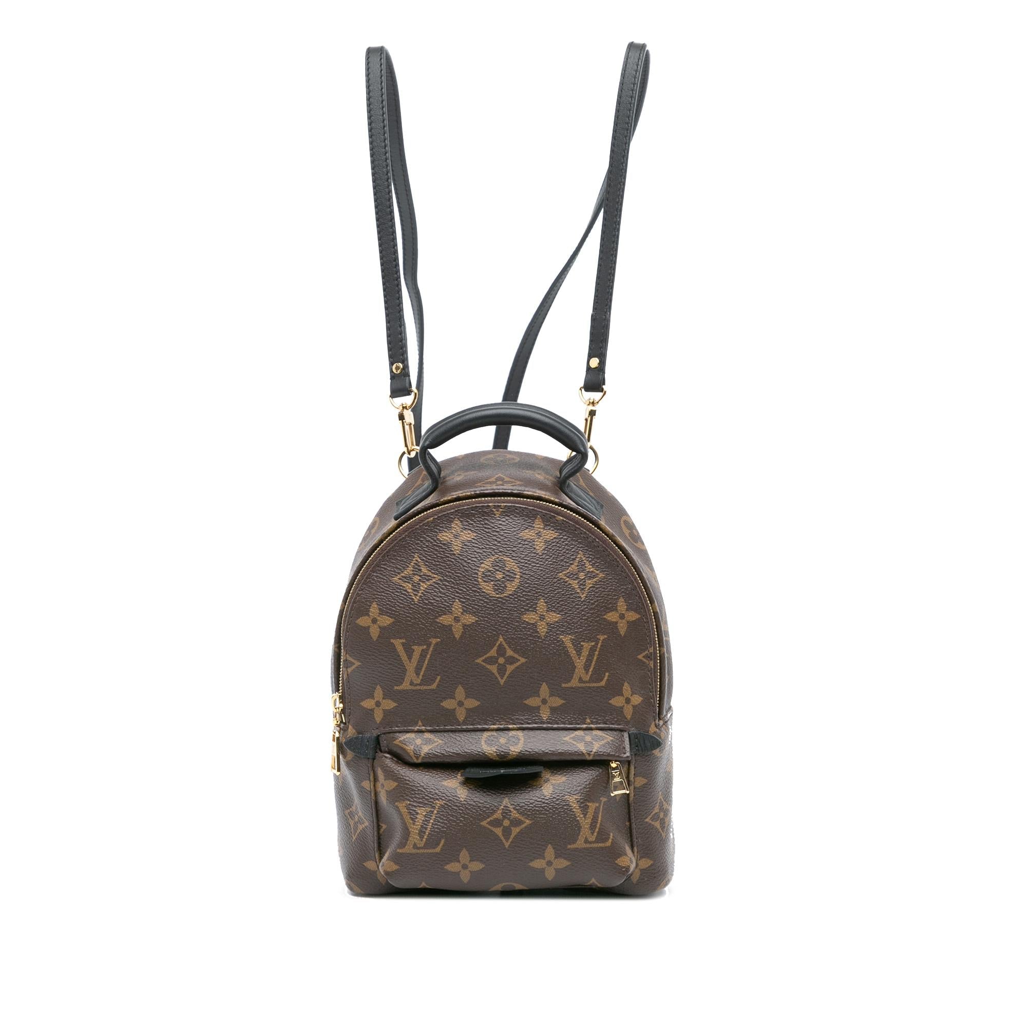 Louis Vuitton Monogram Mini Palm Springs