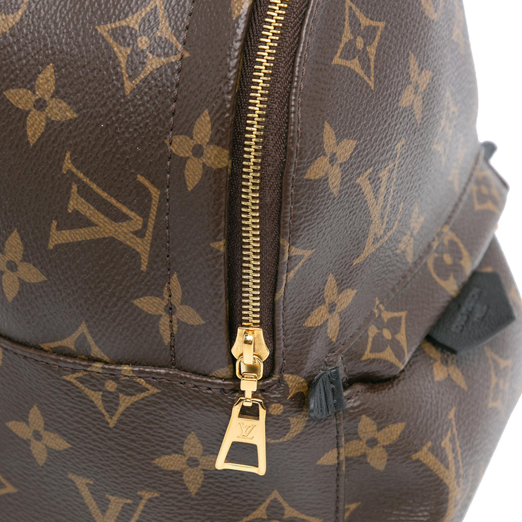 Louis Vuitton Monogram Mini Palm Springs