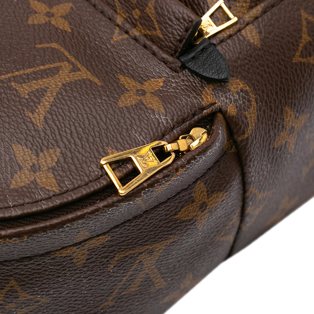 Louis Vuitton Monogram Mini Palm Springs