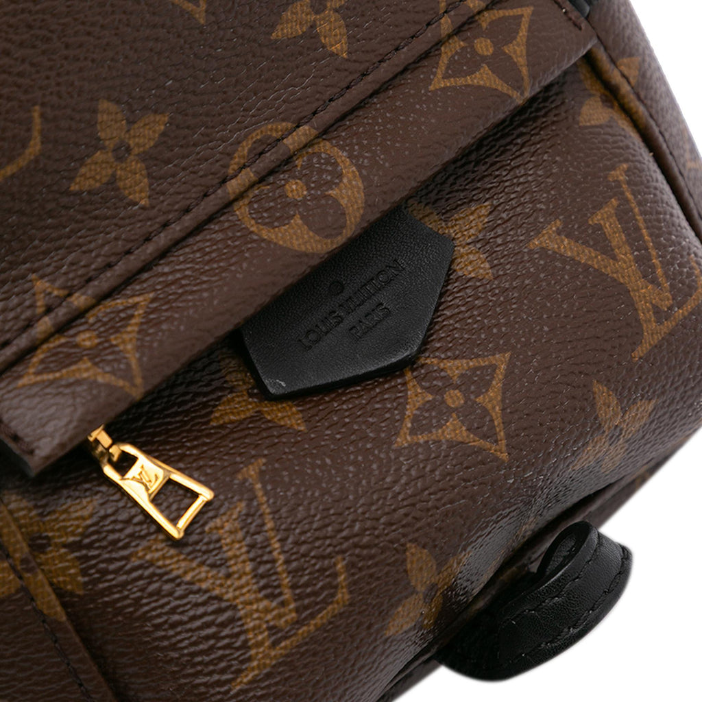 Louis Vuitton Monogram Mini Palm Springs