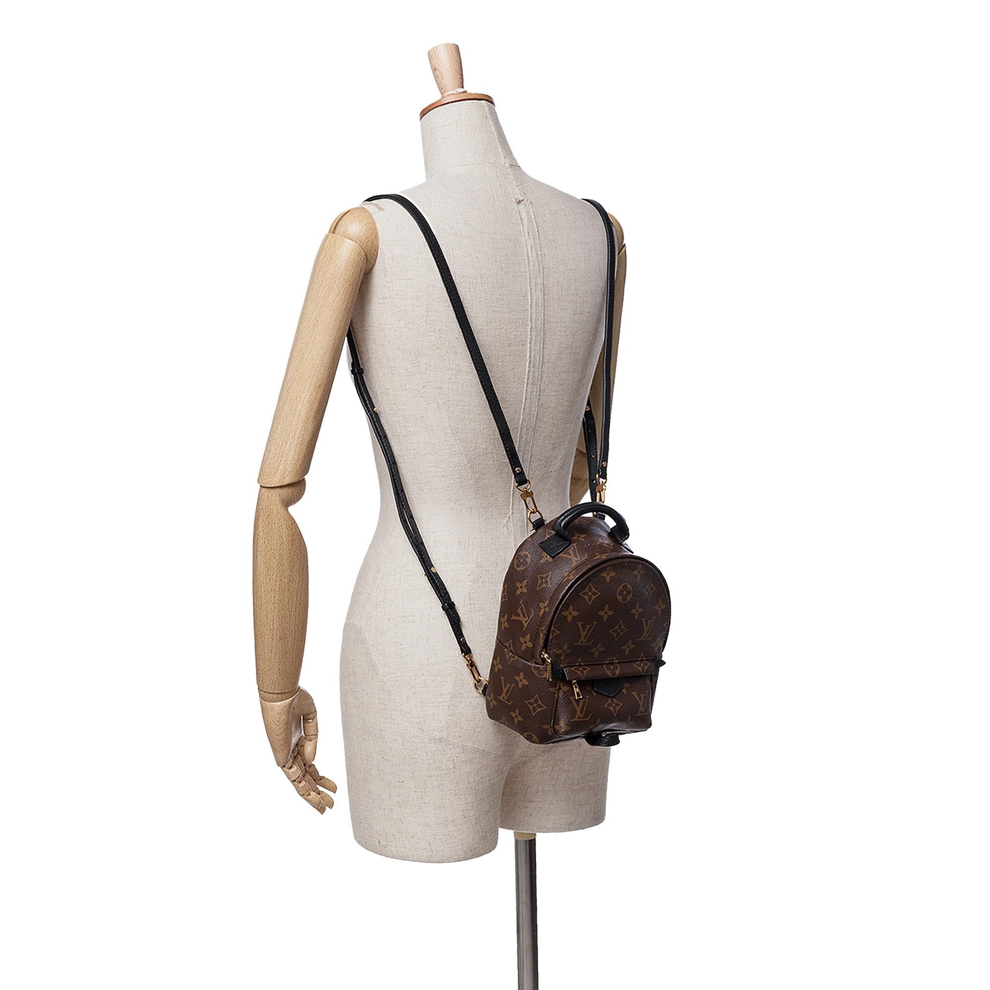 Louis Vuitton Monogram Mini Palm Springs