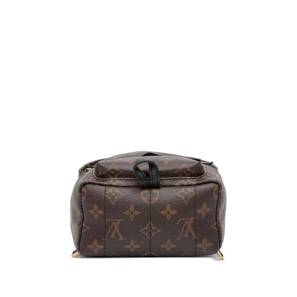 Louis Vuitton Monogram Mini Palm Springs