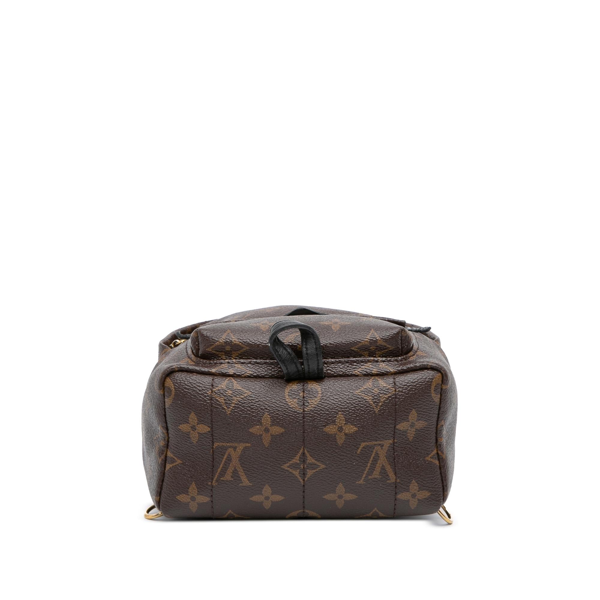 Louis Vuitton Monogram Mini Palm Springs