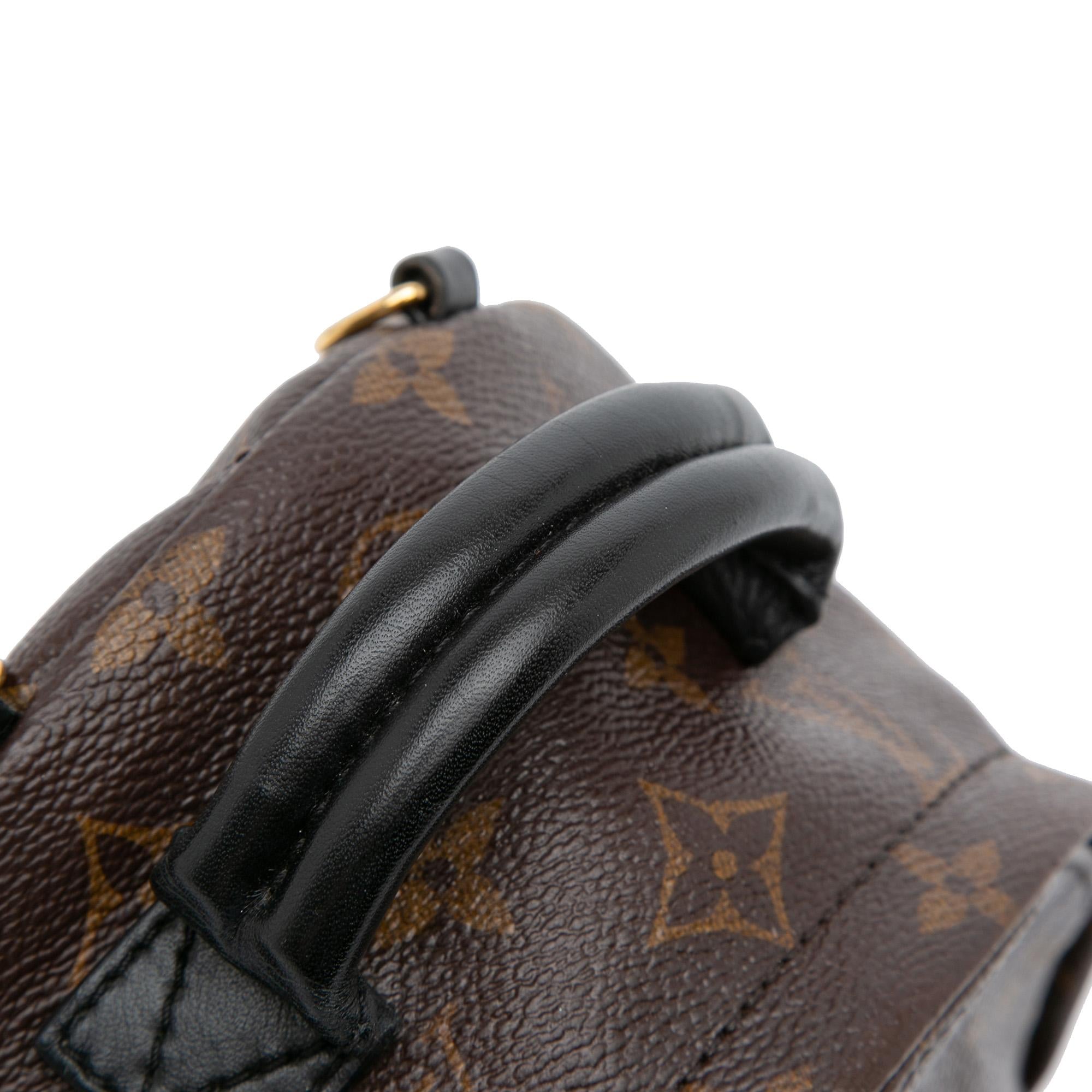 Louis Vuitton Monogram Mini Palm Springs