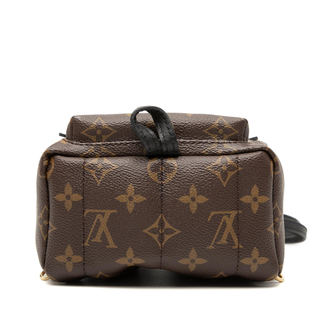 Louis Vuitton Monogram Mini Palm Springs