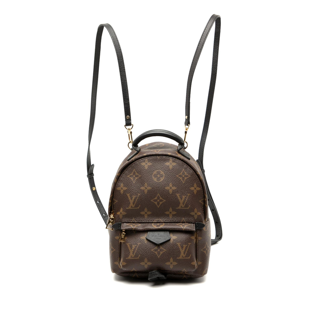 Louis Vuitton Monogram Mini Palm Springs