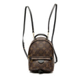 Louis Vuitton Monogram Mini Palm Springs