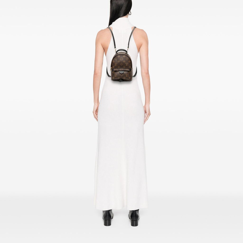 Louis Vuitton Monogram Mini Palm Springs