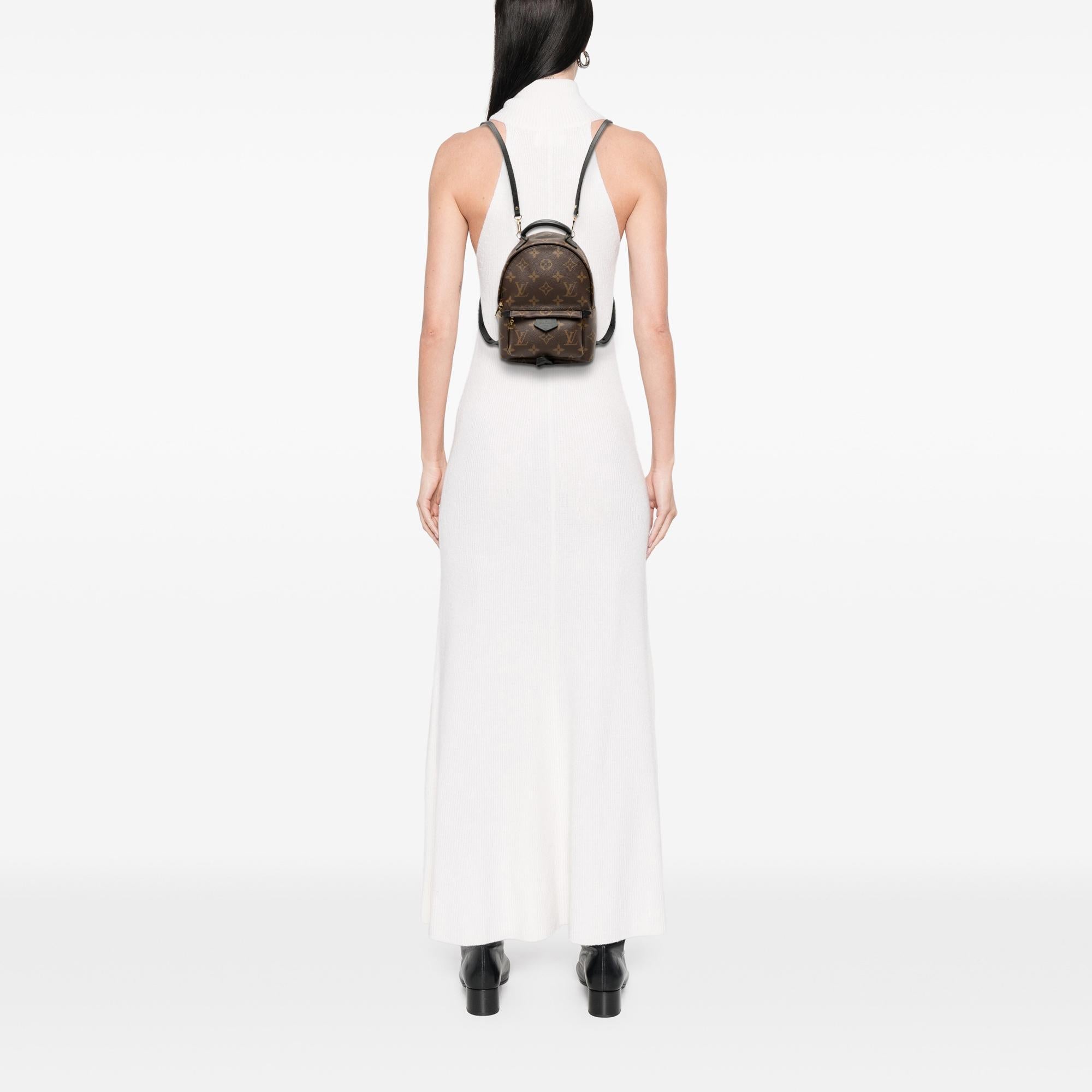 Louis Vuitton Monogram Mini Palm Springs