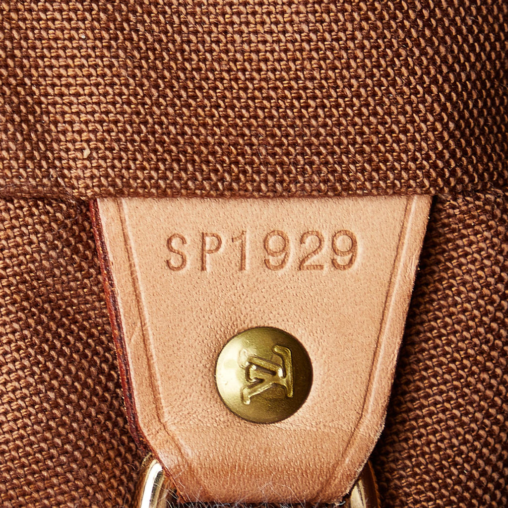 Louis Vuitton Monogram Montsouris MM (SHG-mtMtNz)