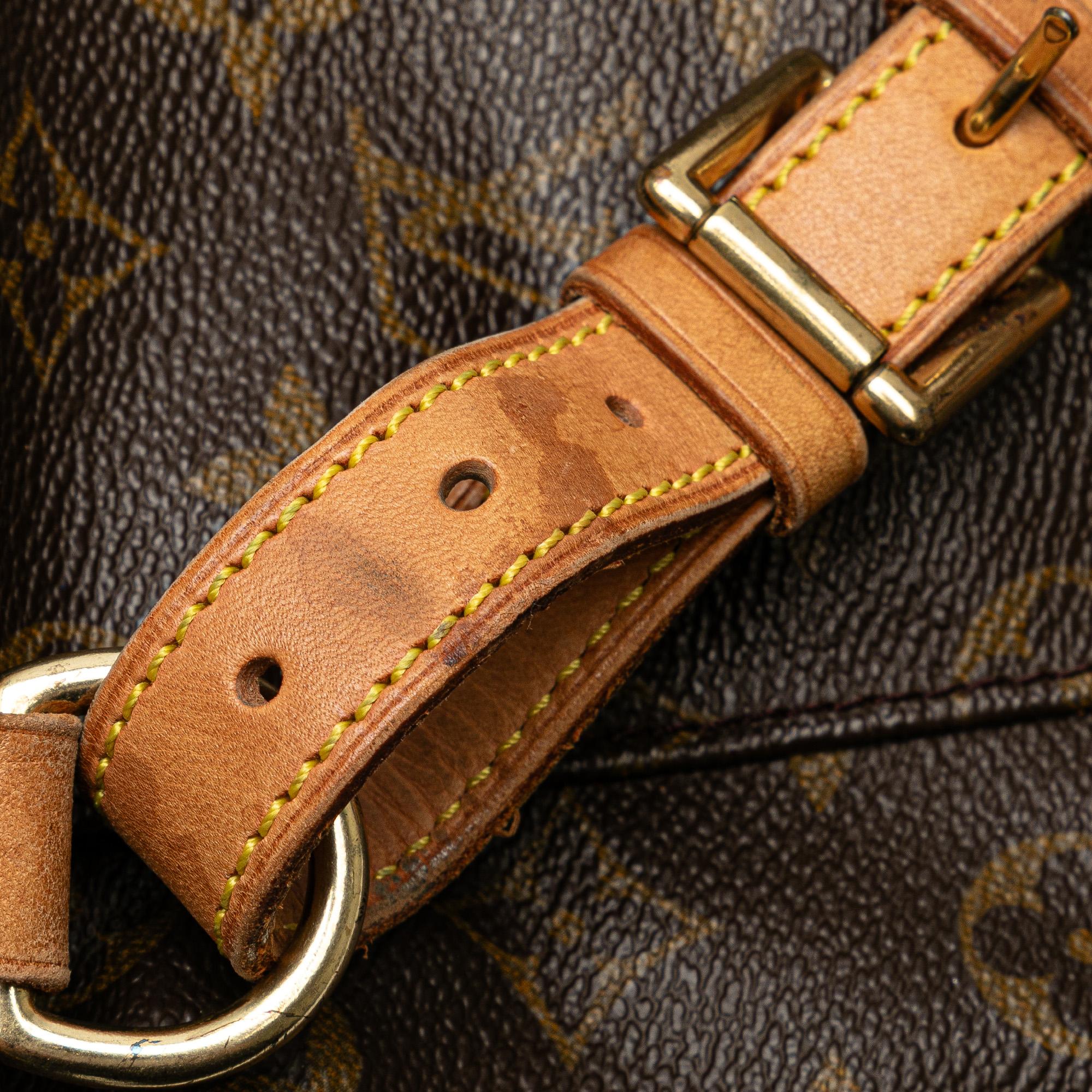 Louis Vuitton Monogram Montsouris MM (SHG-mFgrHu)
