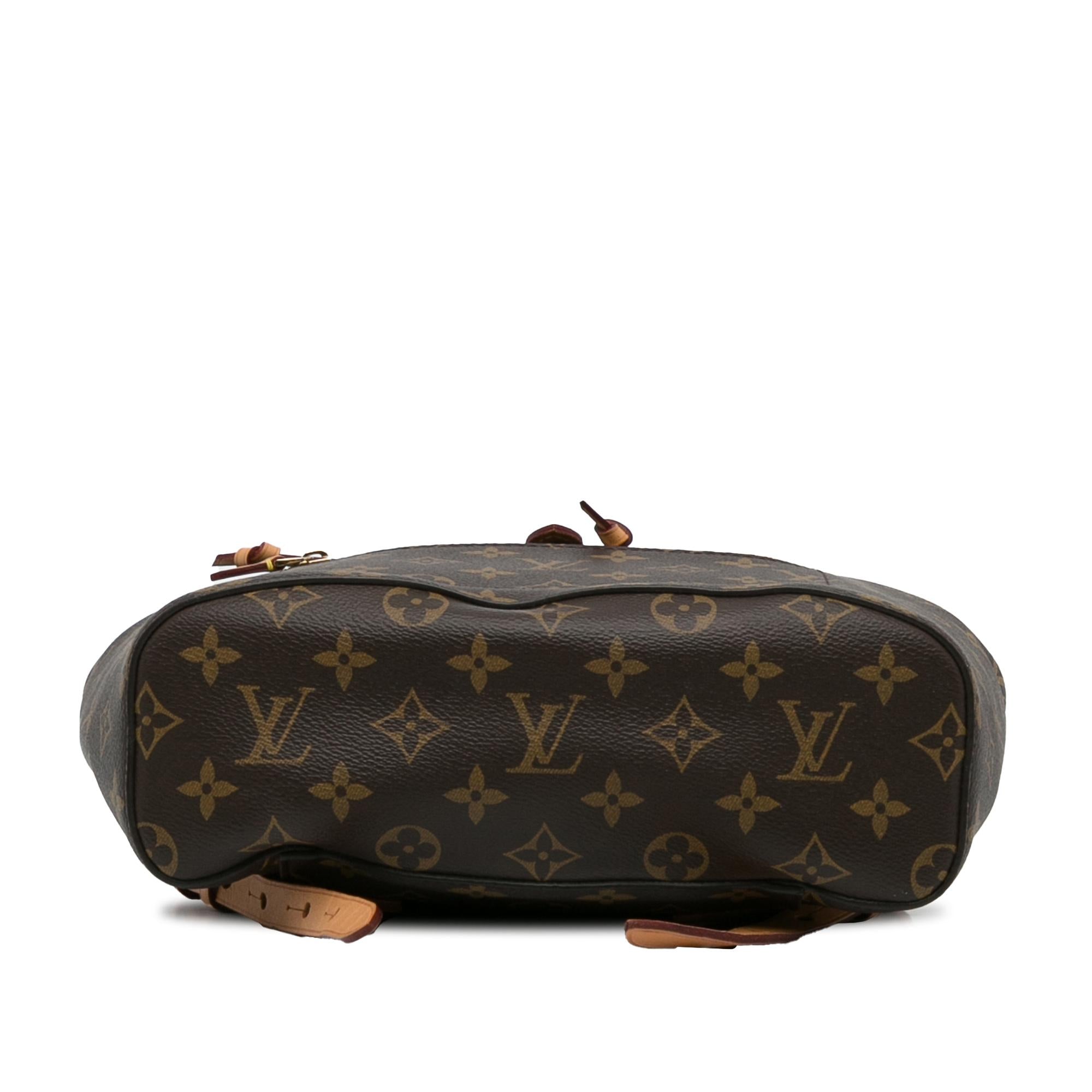 Louis Vuitton Monogram Montsouris NM (SHG-81cgeo)