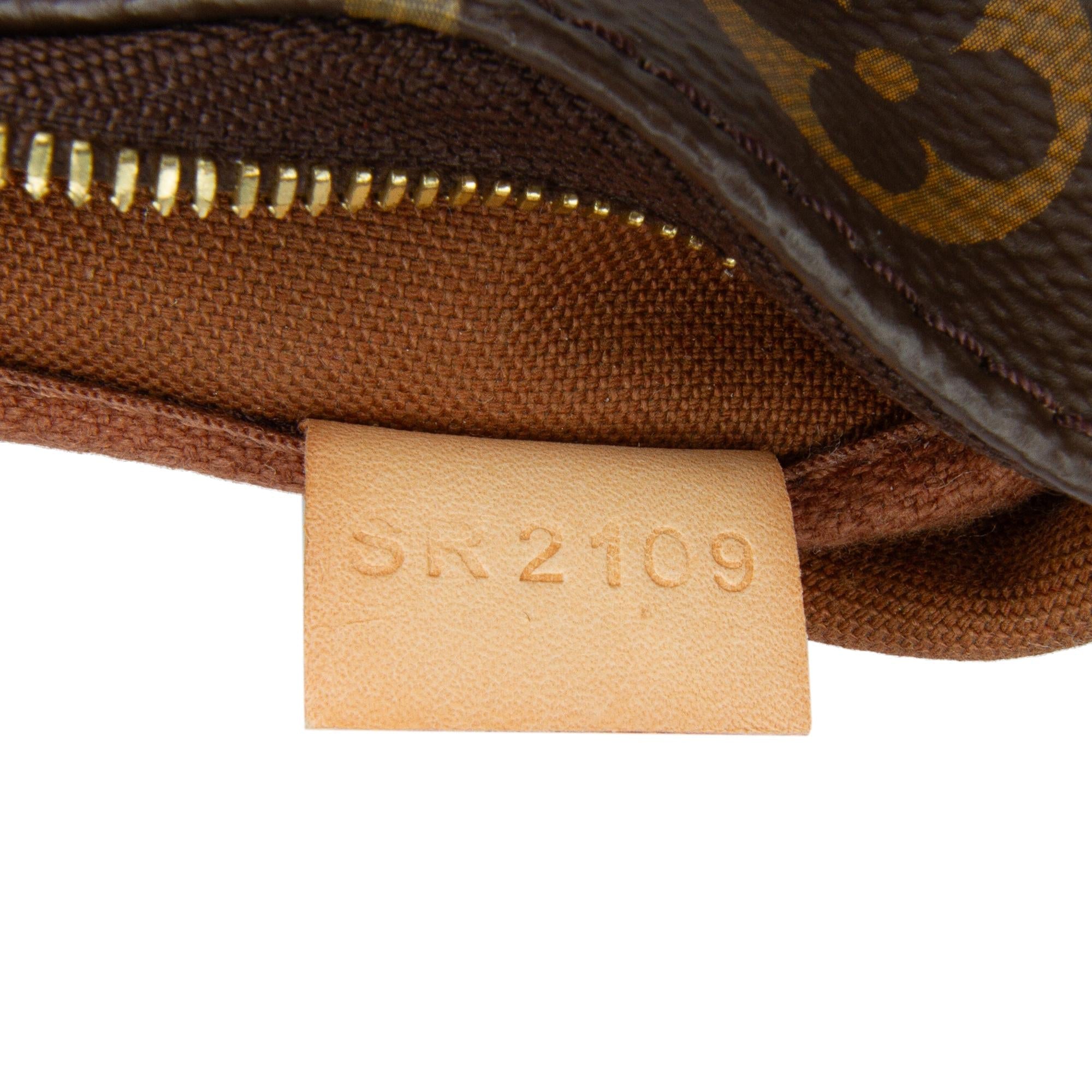 Louis Vuitton Monogram Multi Pochette Accessoires (SHG-5VvxMk)