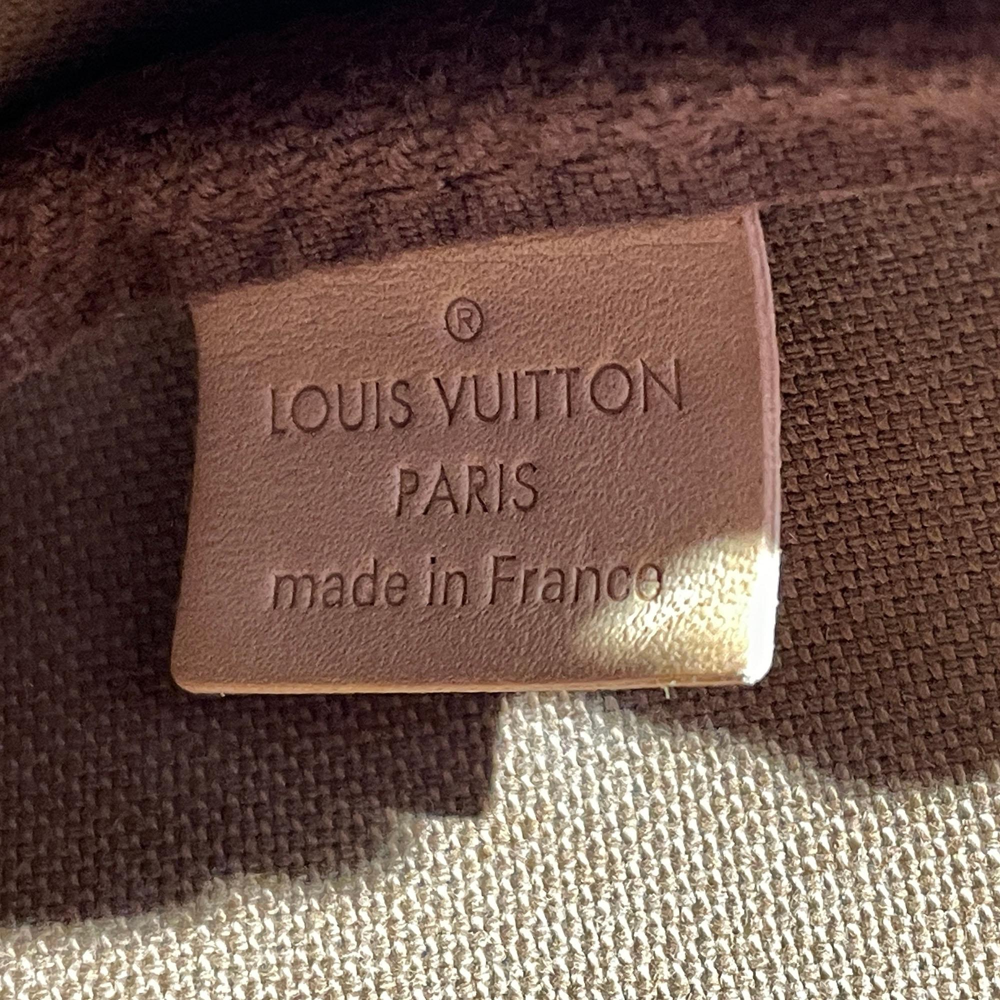 Louis Vuitton Monogram Multi Pochette Accessoires