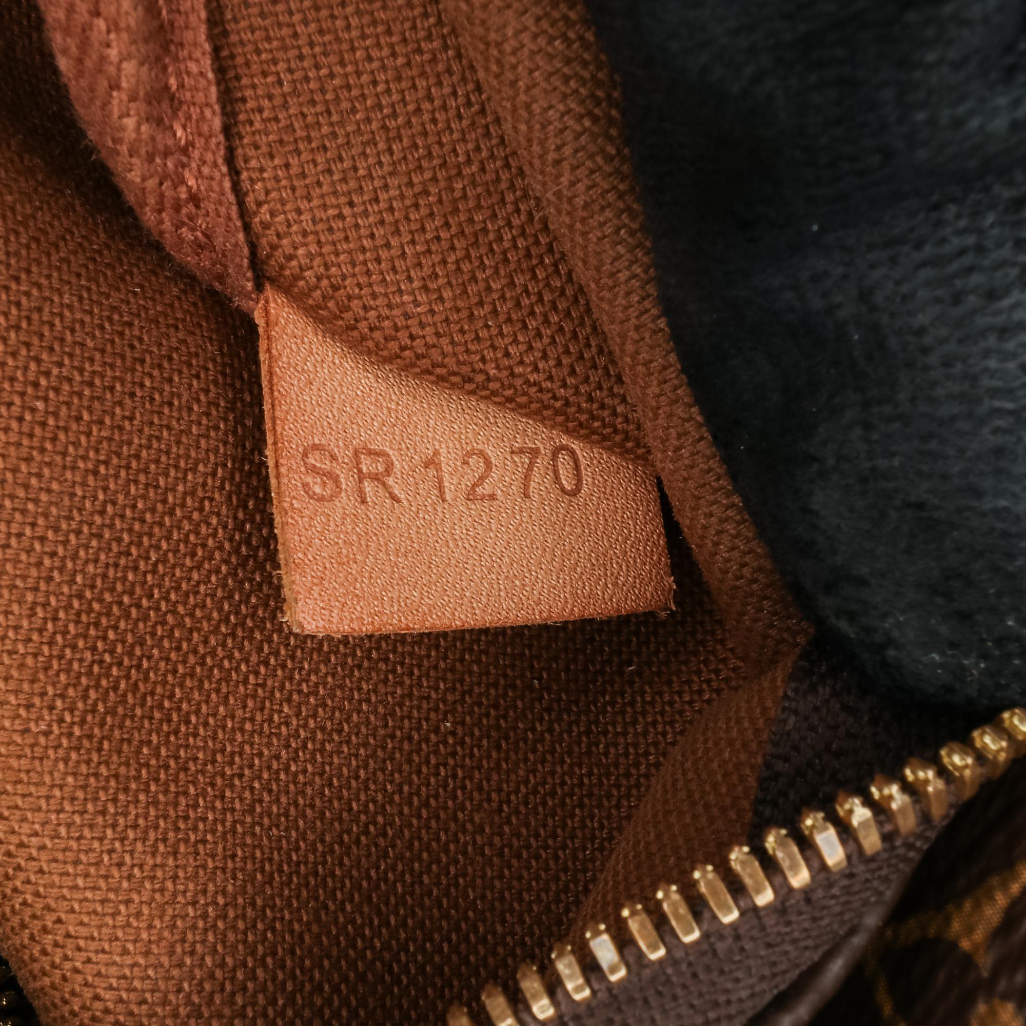 Louis Vuitton Monogram Multi Pochette Accessoires