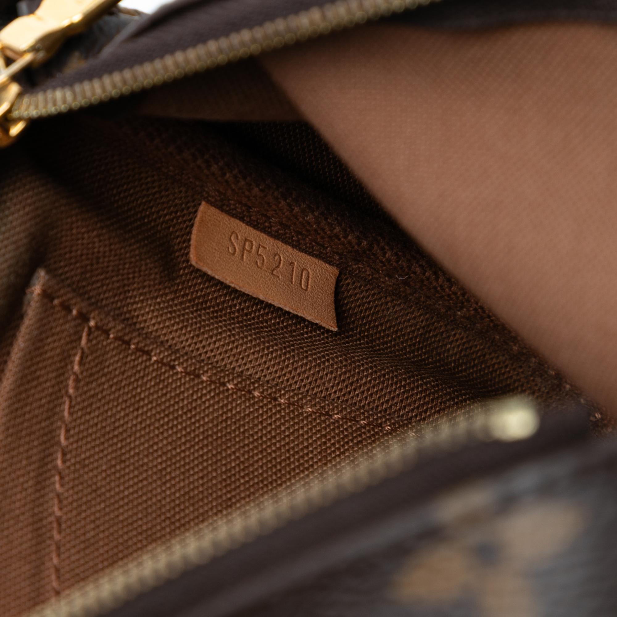 Louis Vuitton Monogram Multi Pochette Accessoires