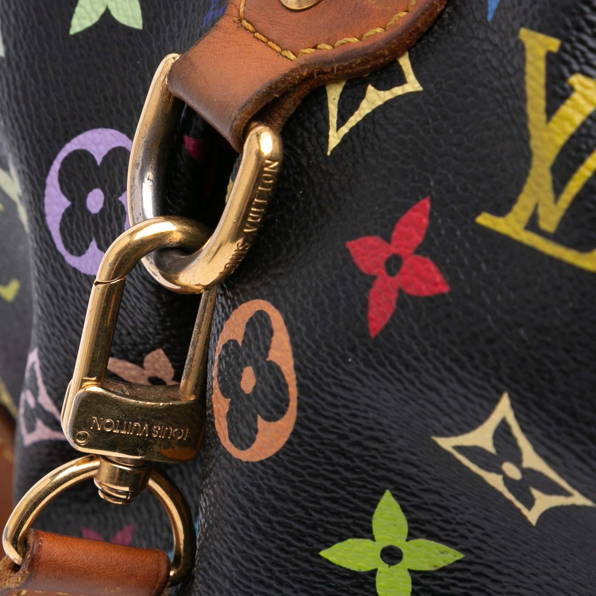Louis Vuitton Monogram Multicolore Courtney MM