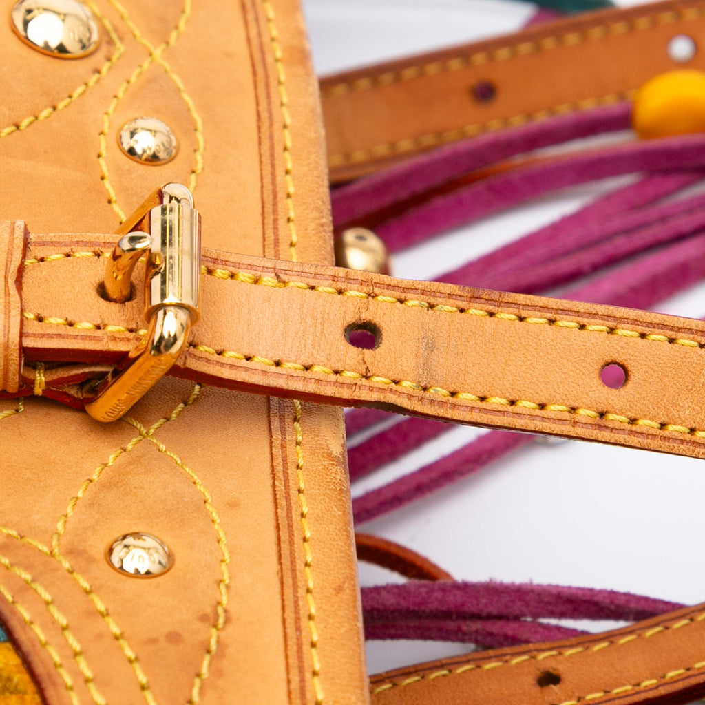 Louis Vuitton Monogram Multicolore Fringe Bucket