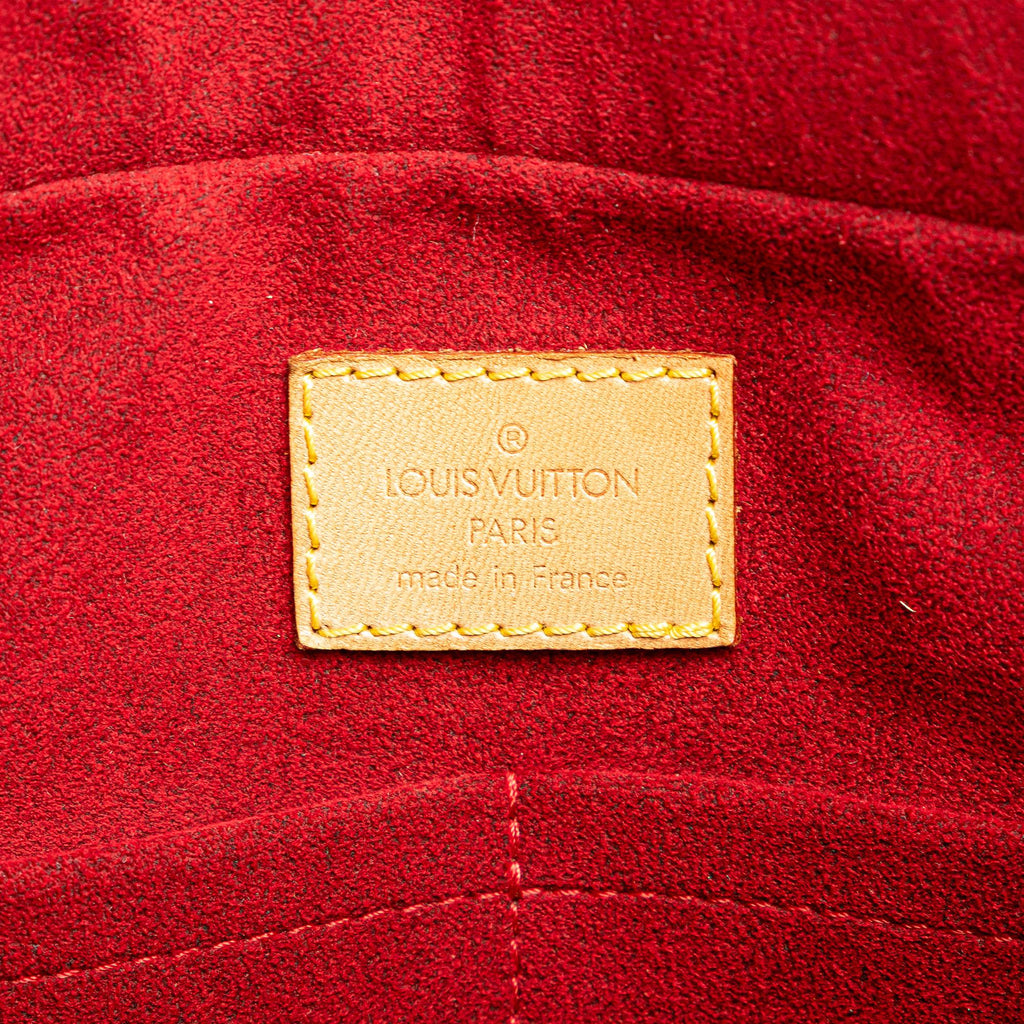Louis Vuitton Monogram Multipli Cite