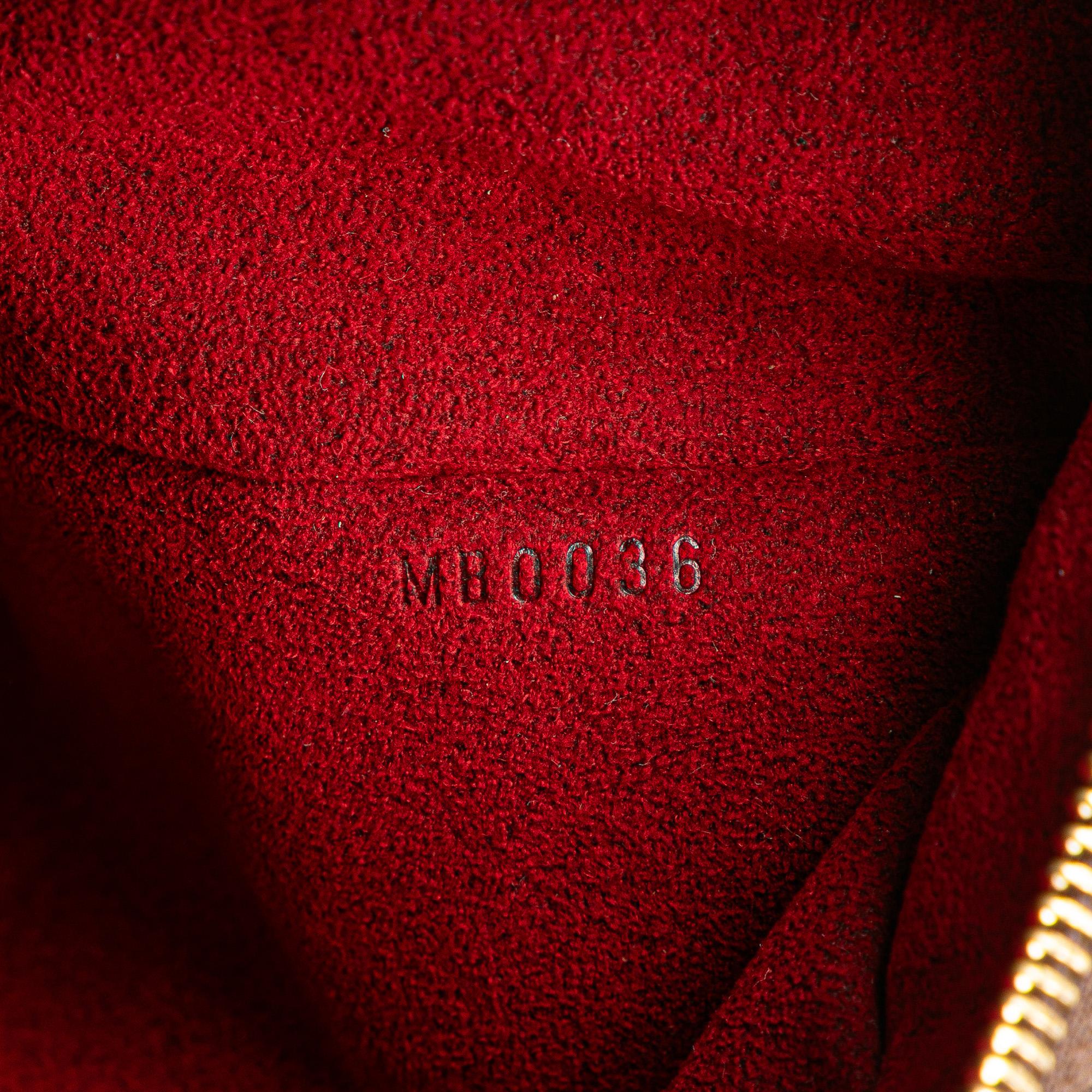 Louis Vuitton Monogram Multipli Cite