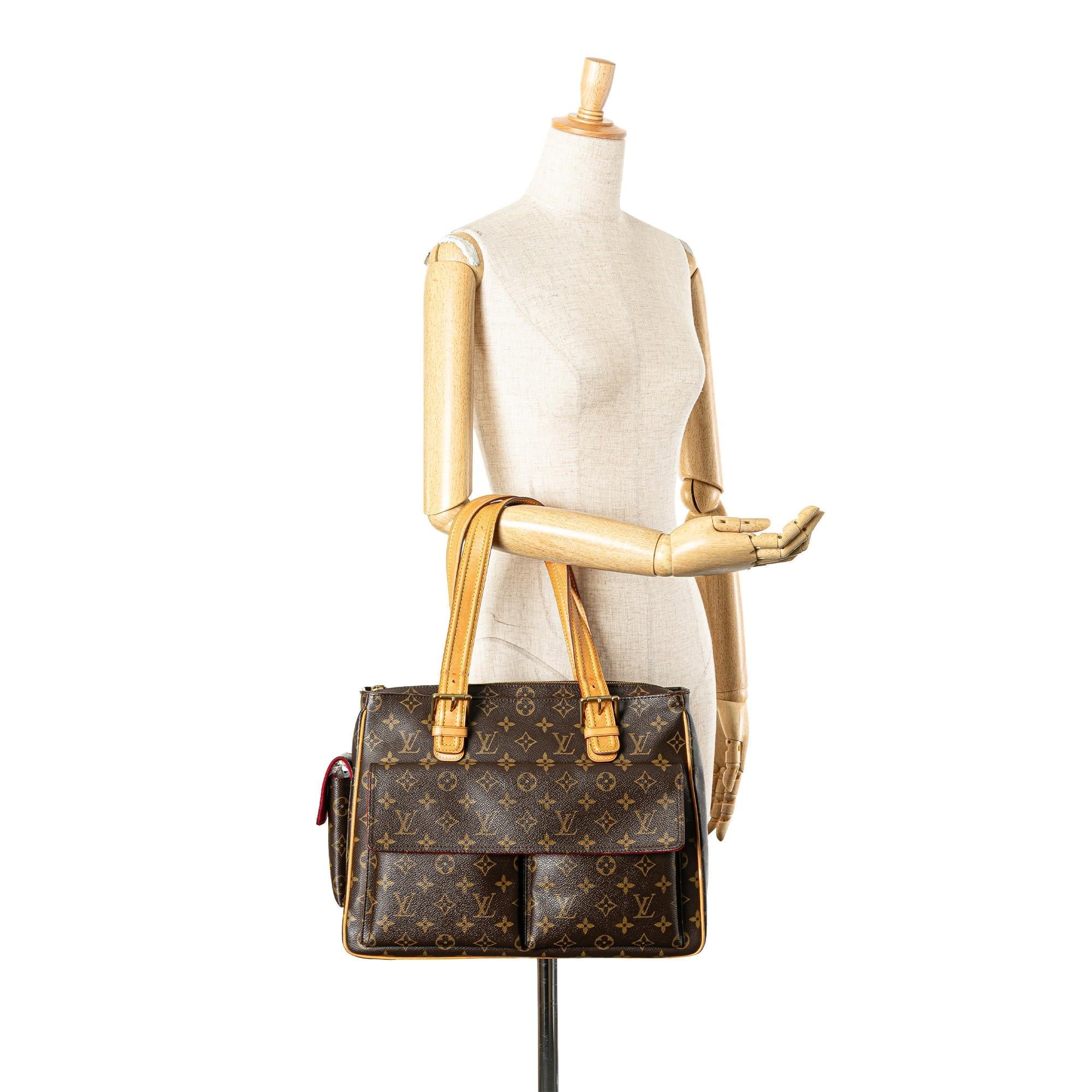 Louis Vuitton Monogram Multipli Cite