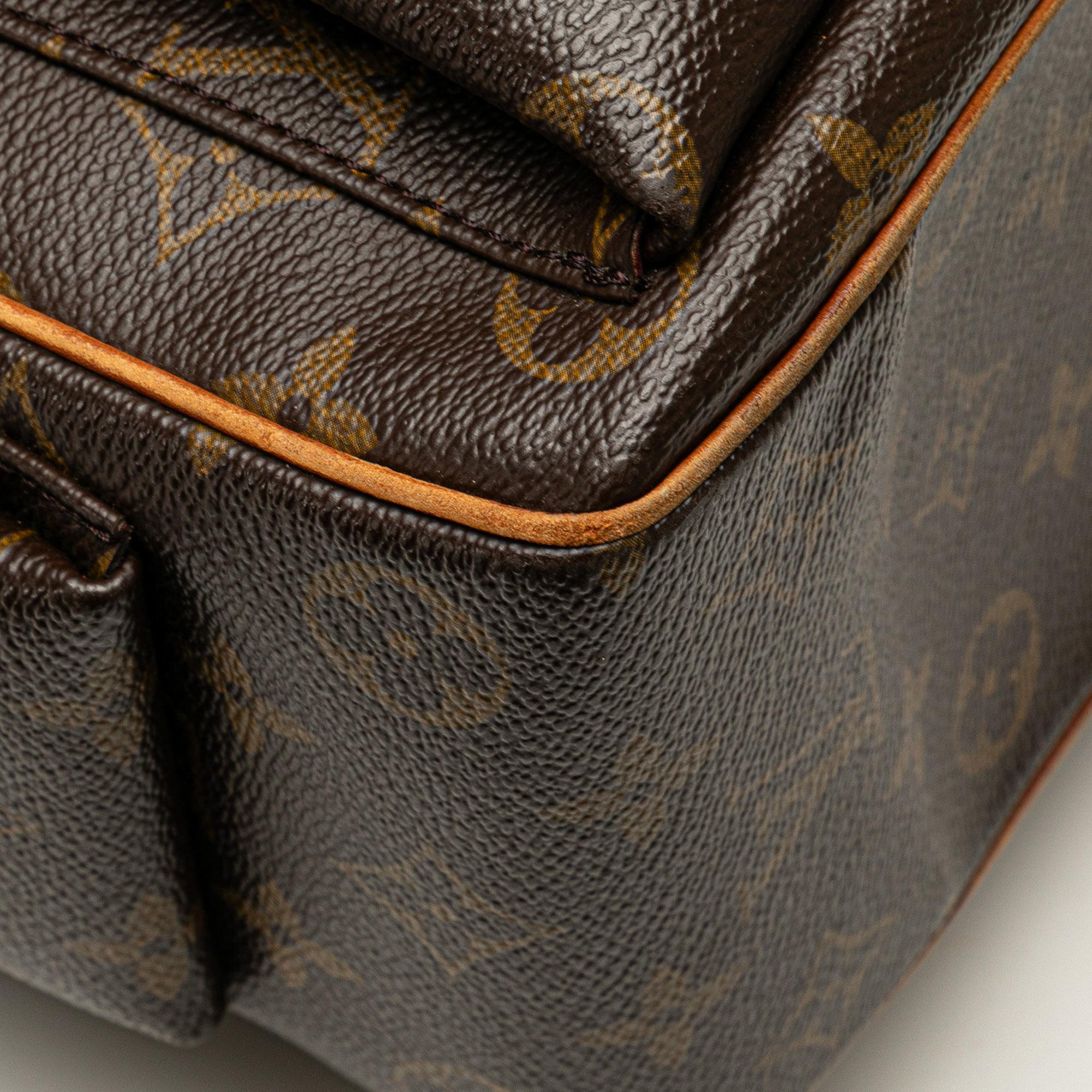 Louis Vuitton Monogram Multipli Cite