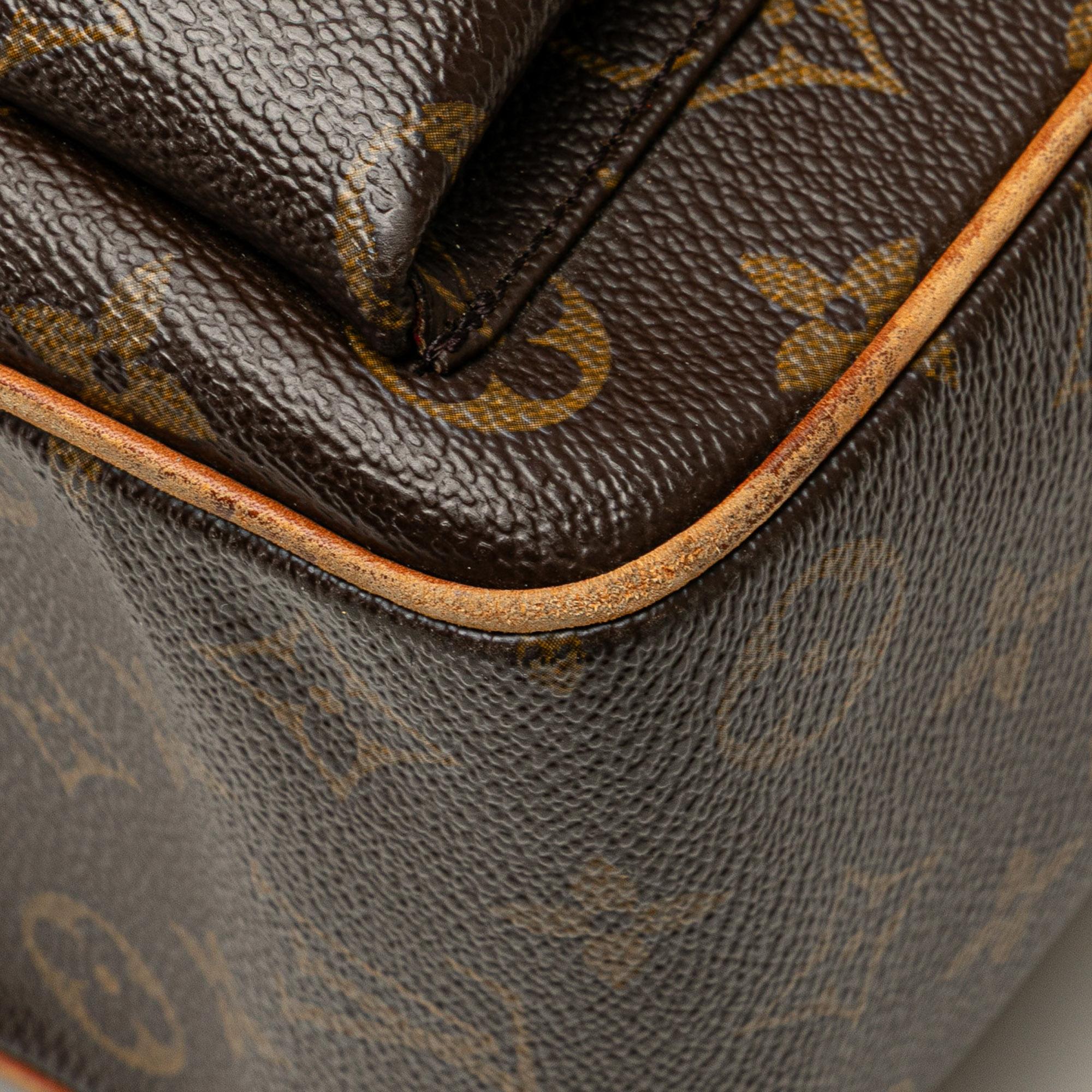 Louis Vuitton Monogram Multipli Cite